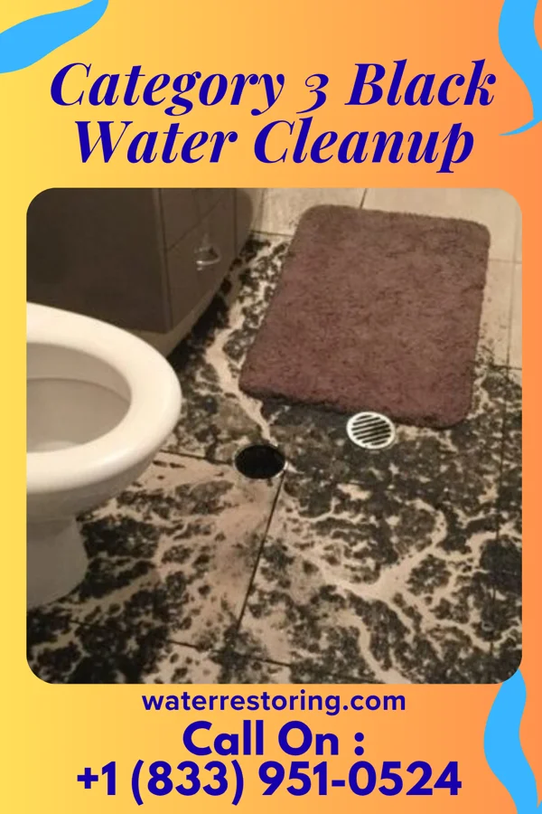 Category 3 Black Water Cleanup in Solen, ND